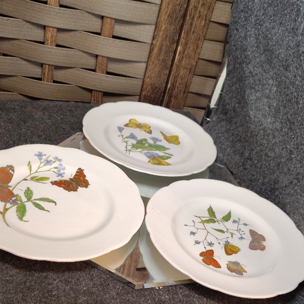 QUEENS/vintage Floral Butterfly Don't Bone China Plate Set Of 3